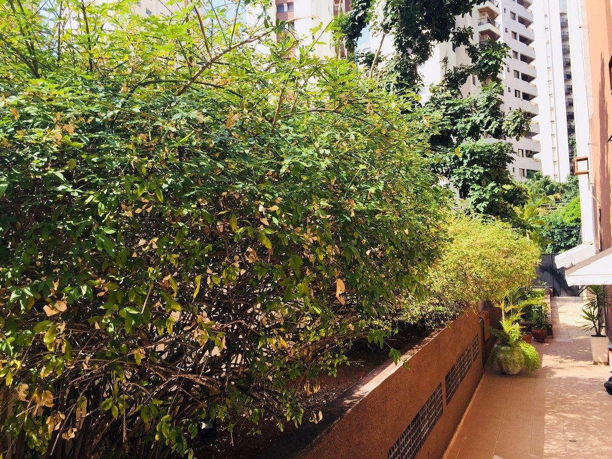 Duplex Moema Ao Lado Do Parque Apartment Sao Paulo Exterior photo